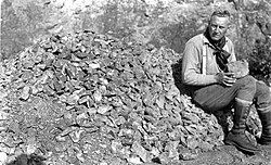 Gilbert LaBine with uranium ore for the Manhattan Project