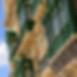 Valletta Tour