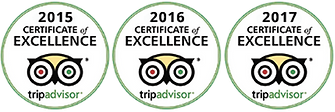 Trip Advisor Award